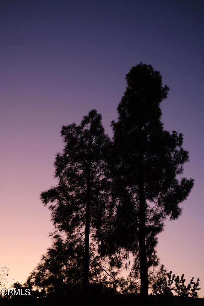 MLS #V1-33095 image #63