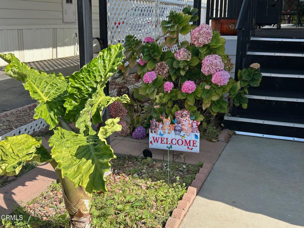 MLS #V1-33103 image #22