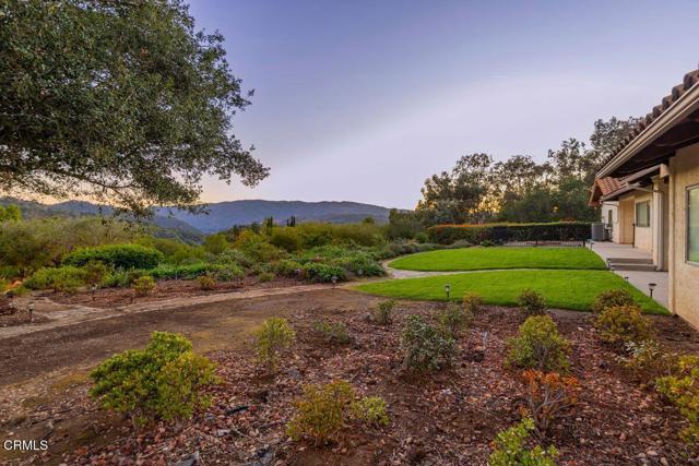 MLS #V1-33105 image #19