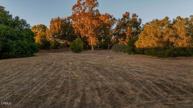 MLS #V1-33105 image #36