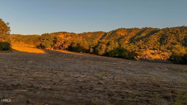 MLS #V1-33105 image #37