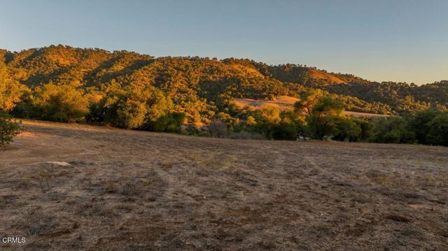 MLS #V1-33105 image #39