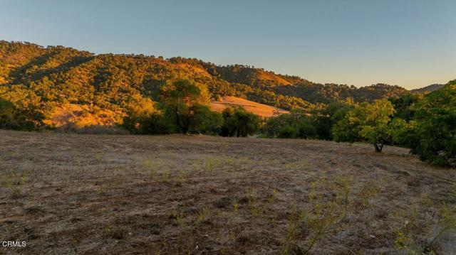 MLS #V1-33105 image #40