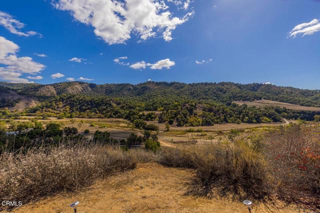 MLS #V1-33105 image #44