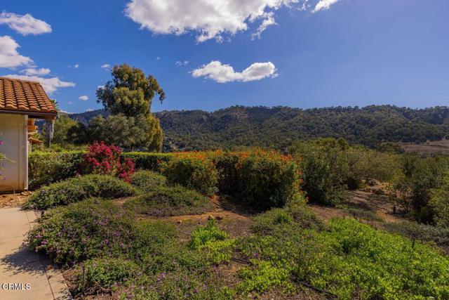 MLS #V1-33105 image #50