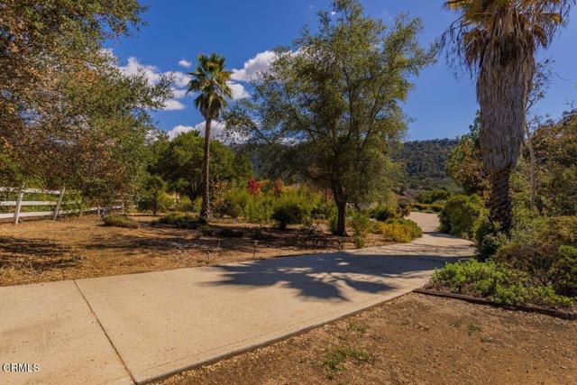 MLS #V1-33105 image #51