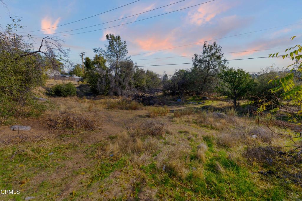 MLS #V1-33108 image #30