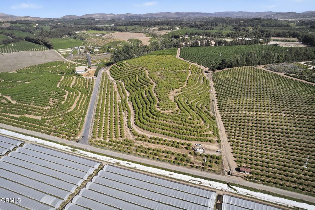 MLS #V1-33118 image #1