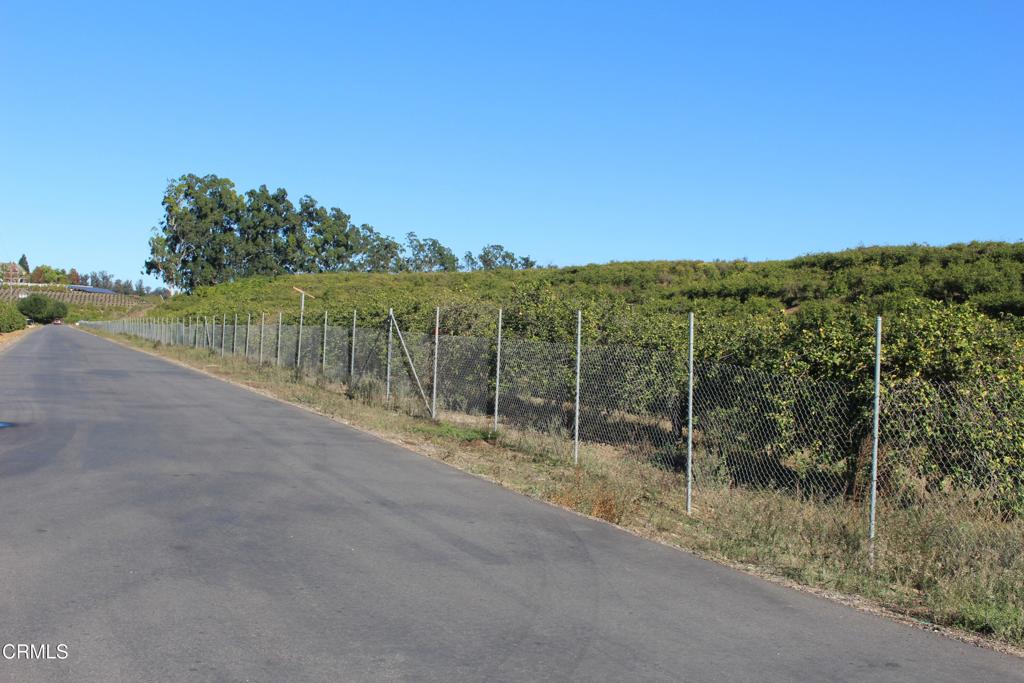 MLS #V1-33118 image #11