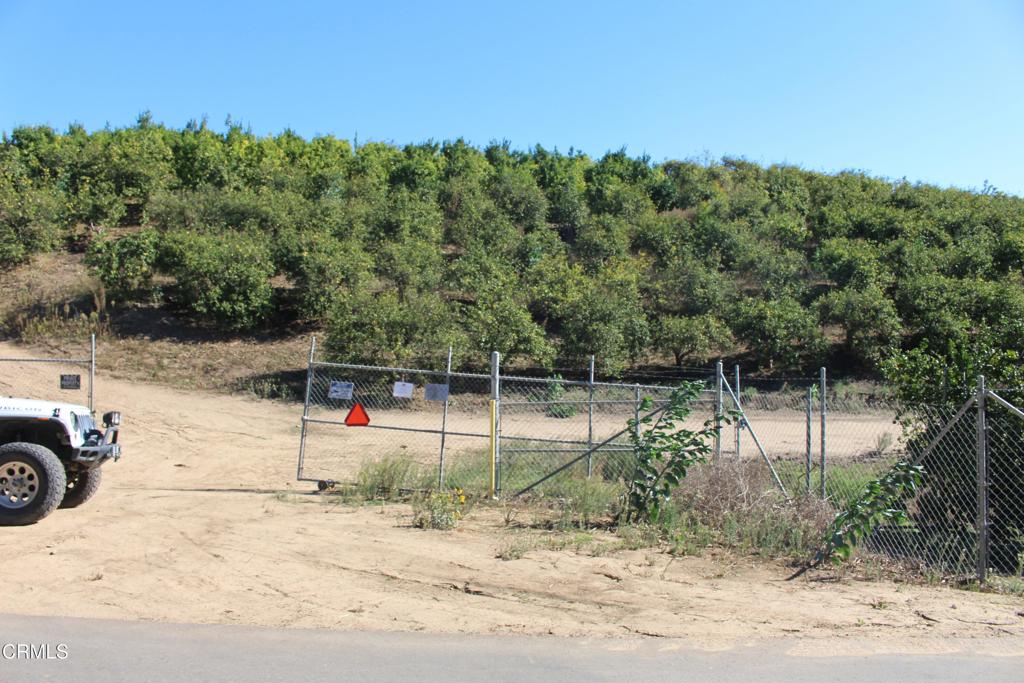 MLS #V1-33118 image #12