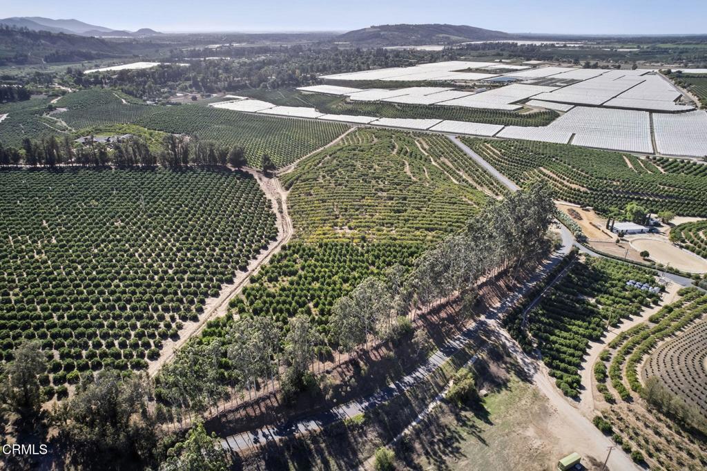 MLS #V1-33118 image #13