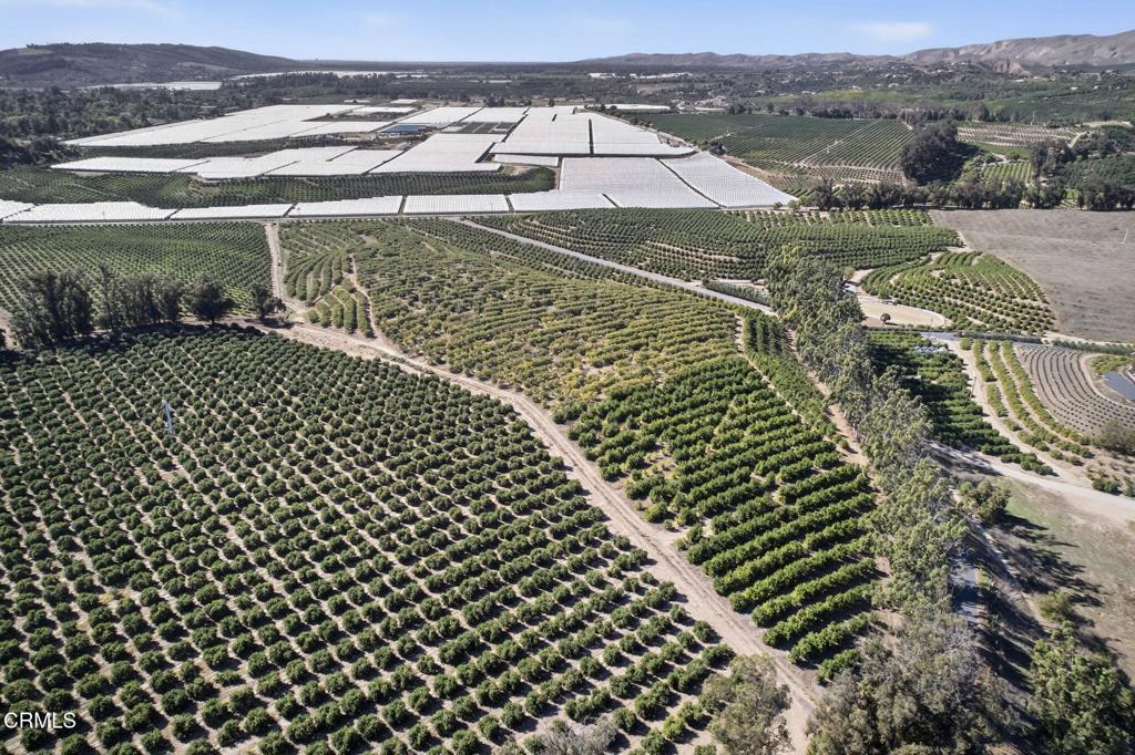 MLS #V1-33118 image #14