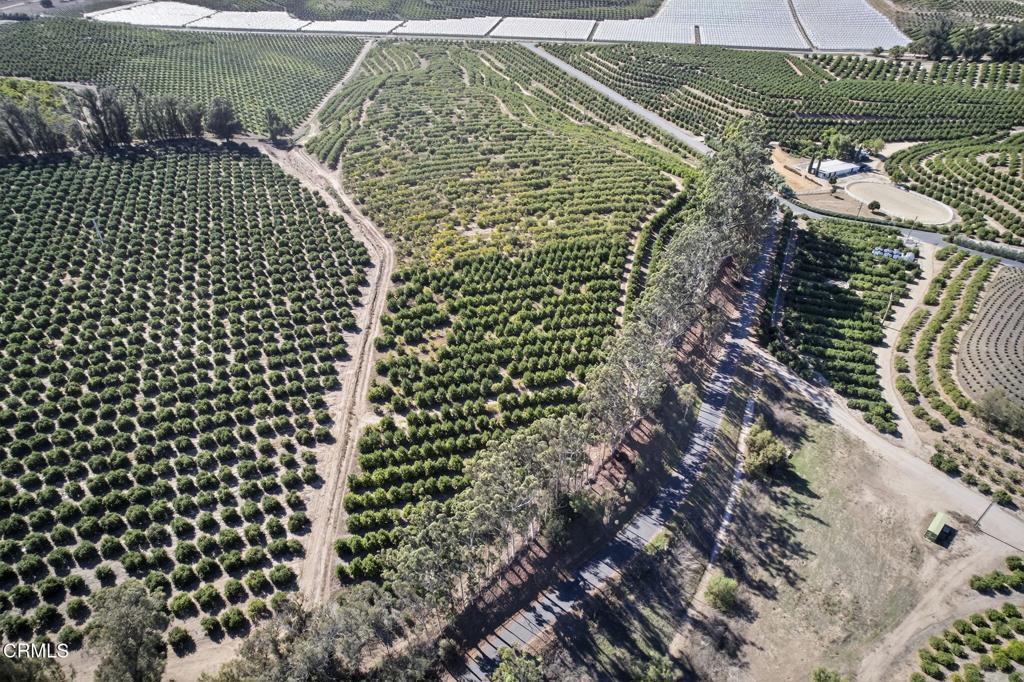 MLS #V1-33118 image #2