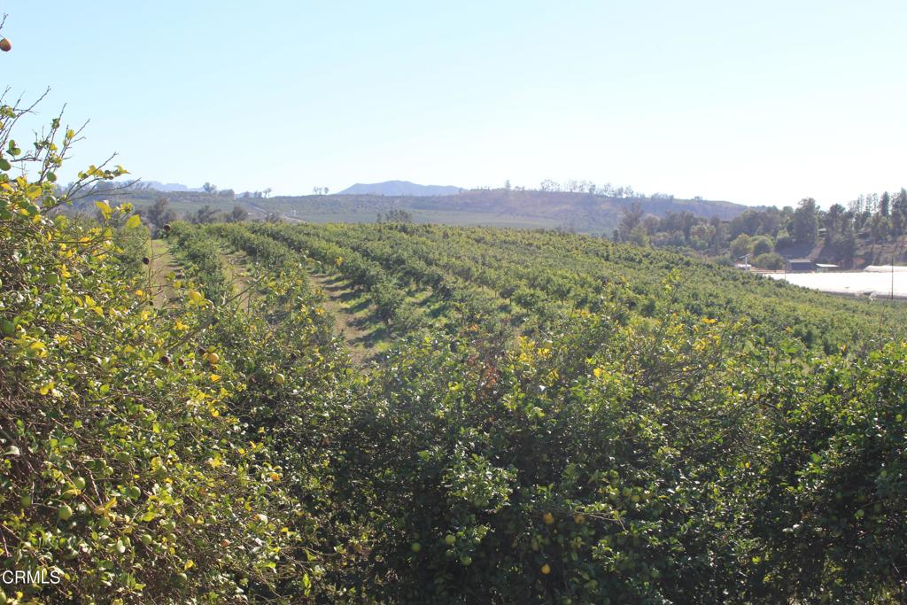 MLS #V1-33118 image #3