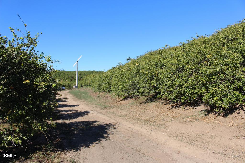 MLS #V1-33118 image #4