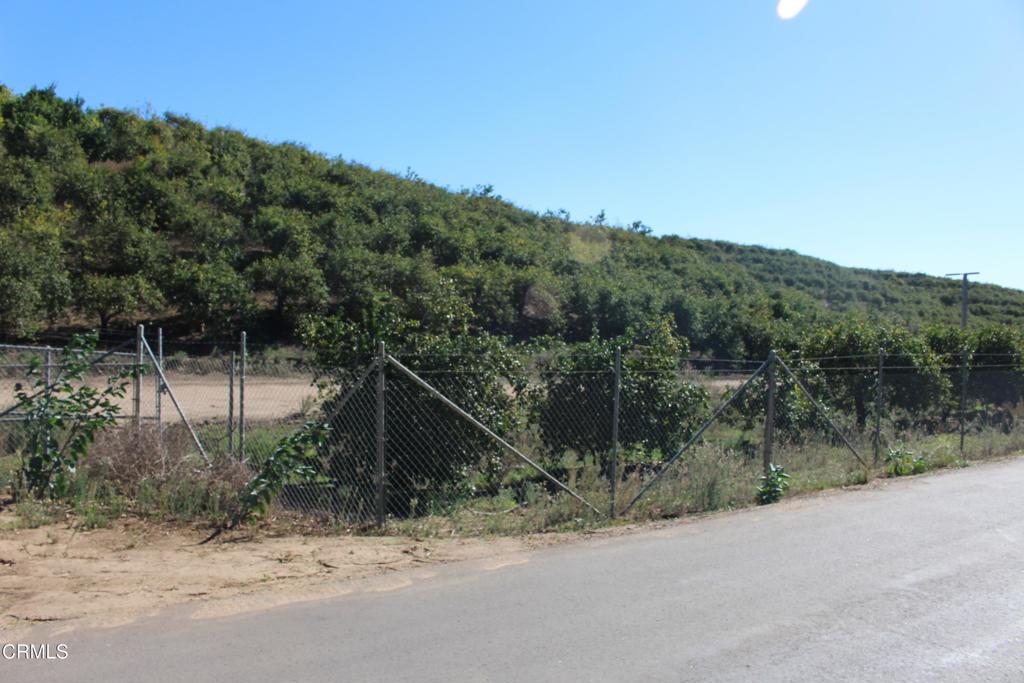 MLS #V1-33118 image #5