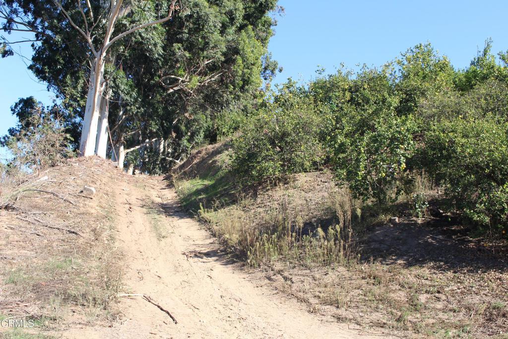 MLS #V1-33118 image #6