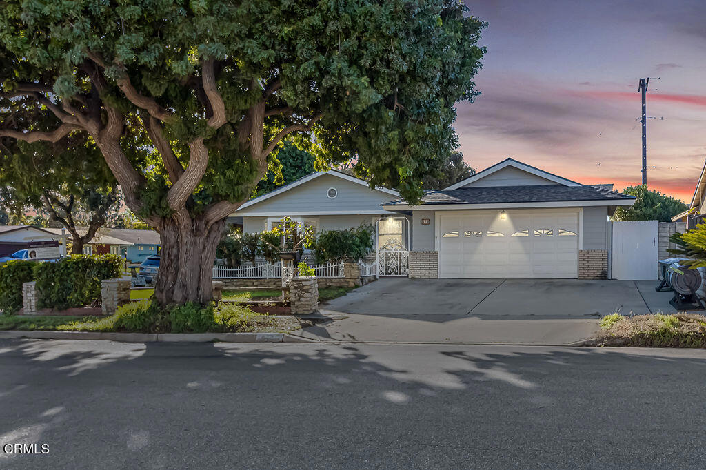 MLS #V1-33128 image #4