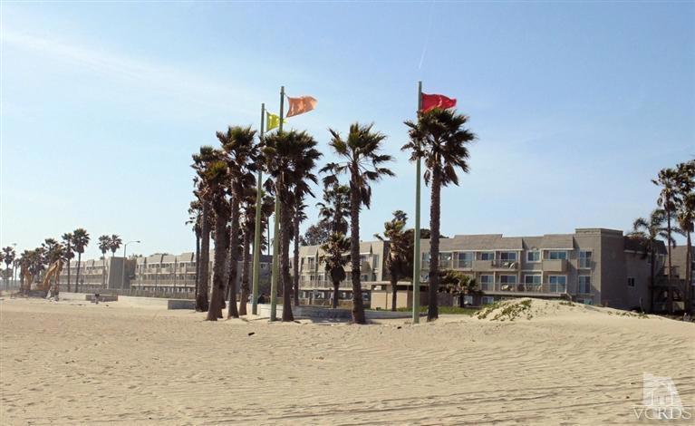 MLS #V1-33131 image #11