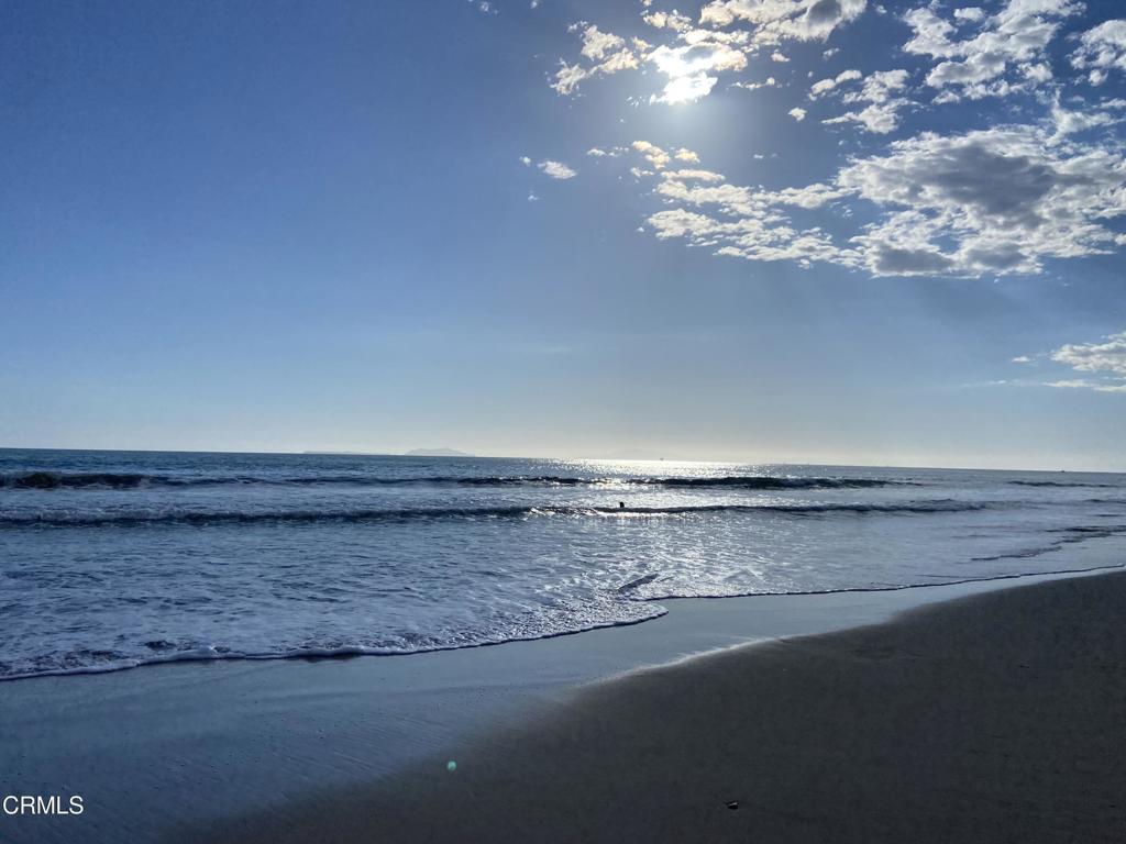 MLS #V1-33131 image #14