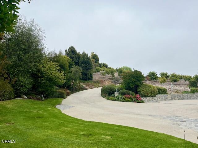 MLS #V1-33142 image #16