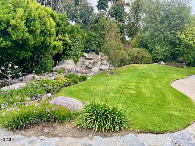 MLS #V1-33142 image #3