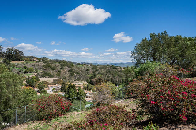 MLS #V1-33145 image #54