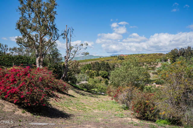 MLS #V1-33145 image #56