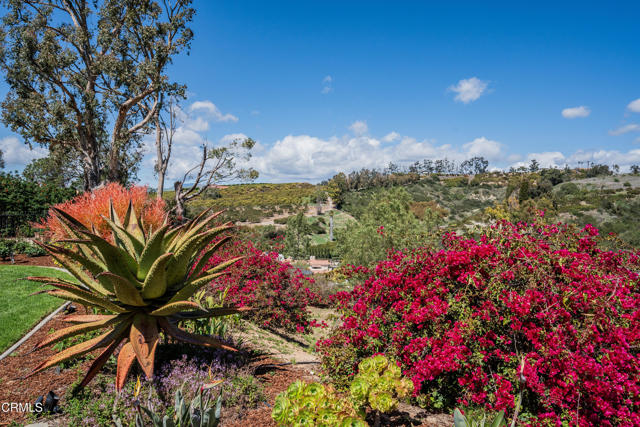 MLS #V1-33145 image #57