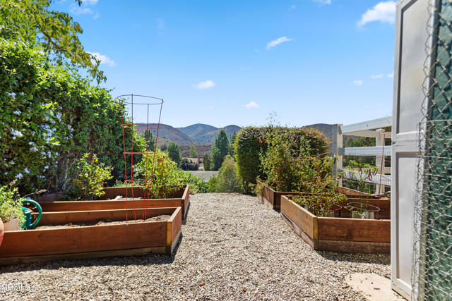 MLS #V1-33146 image #14