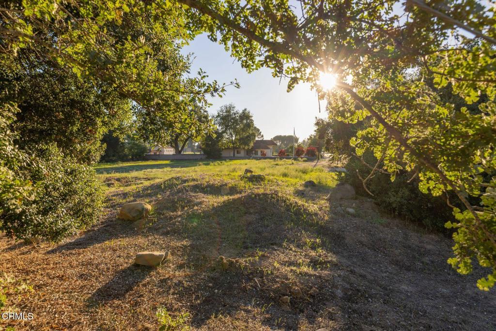 MLS #V1-33149 image #1