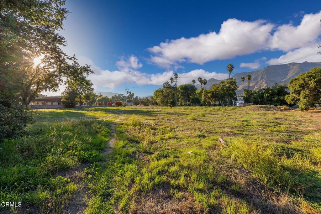 MLS #V1-33149 image #7