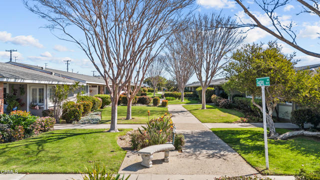 MLS #V1-33160 image #0