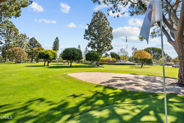 MLS #V1-33160 image #52