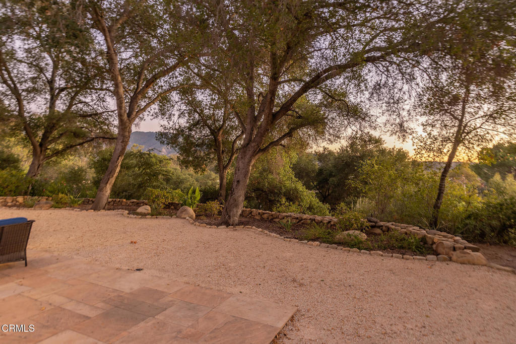 MLS #V1-33168 image #15