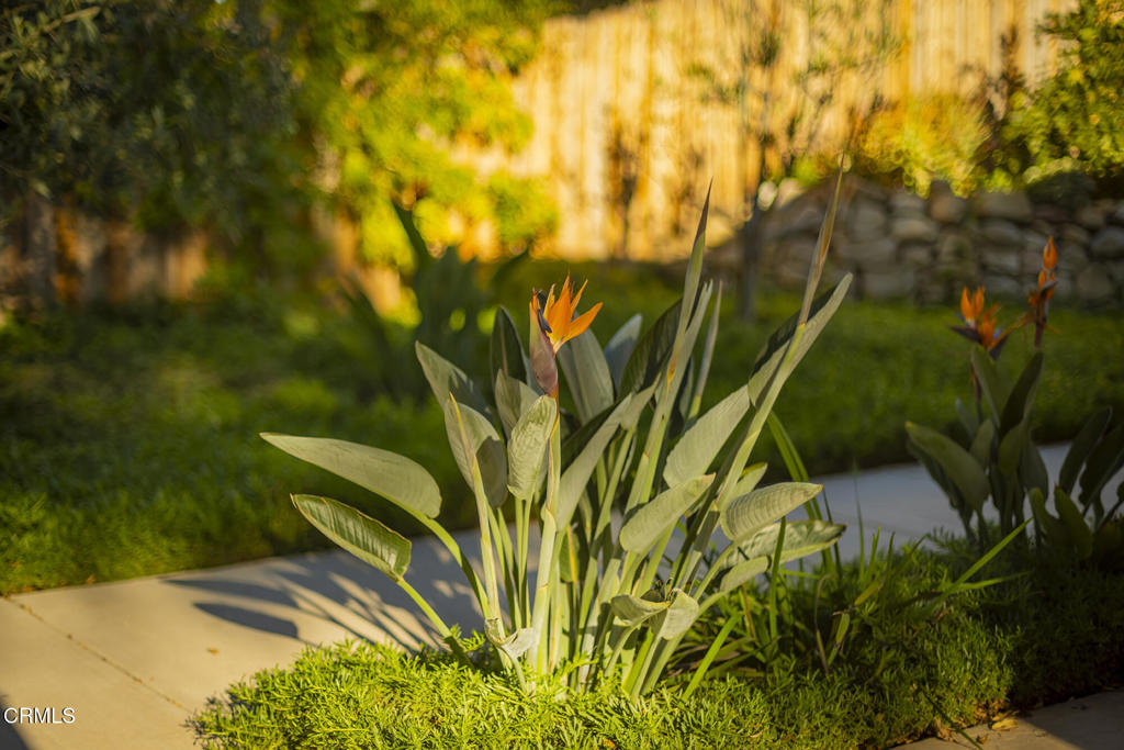 MLS #V1-33168 image #37