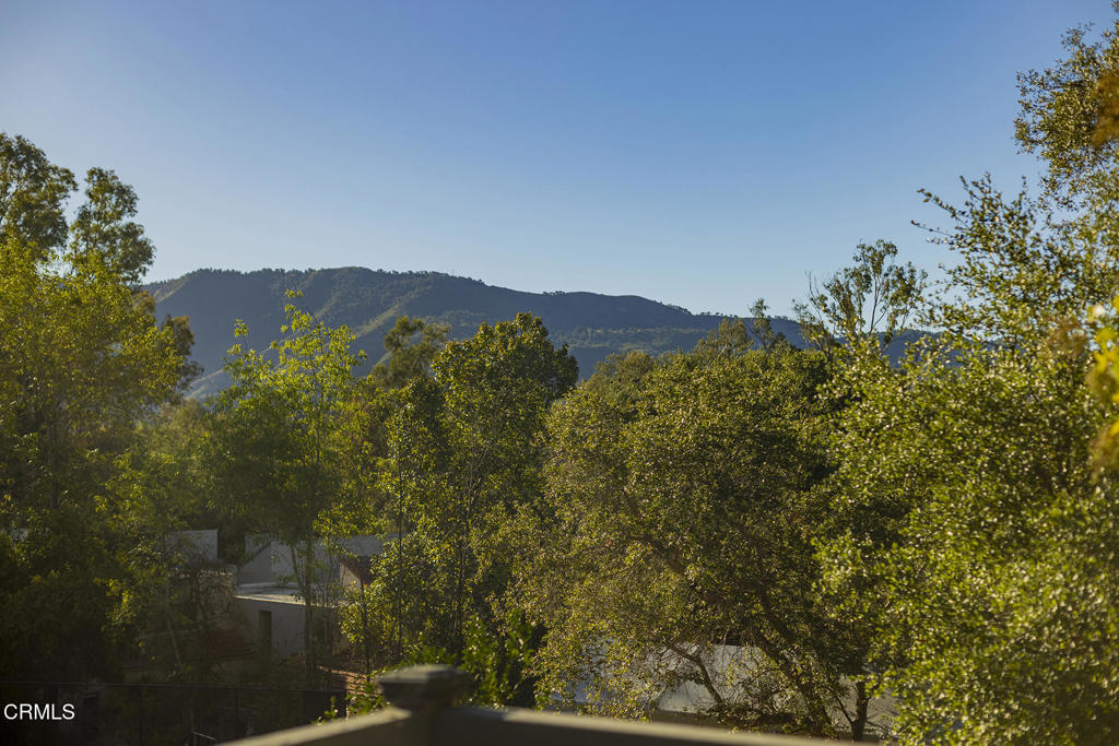 MLS #V1-33168 image #39