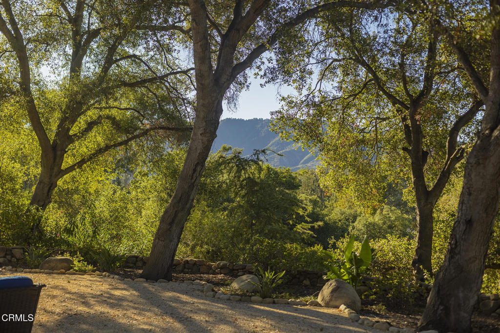 MLS #V1-33168 image #4