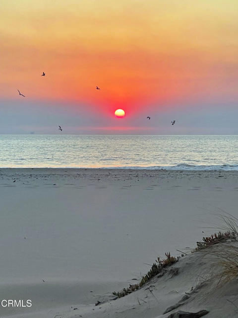 MLS #V1-33187 image #11