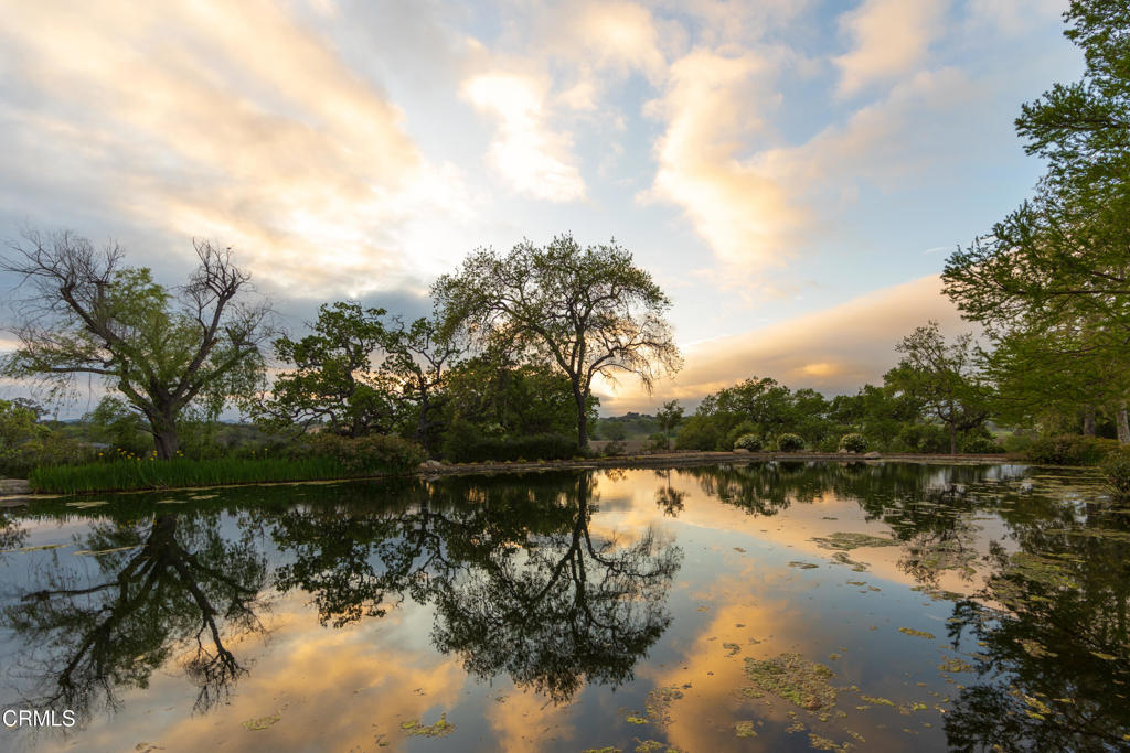 MLS #V1-33194 image #2