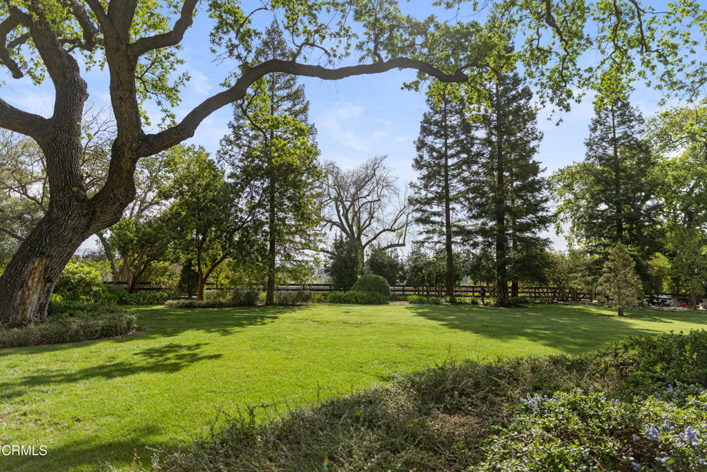 MLS #V1-33194 image #34