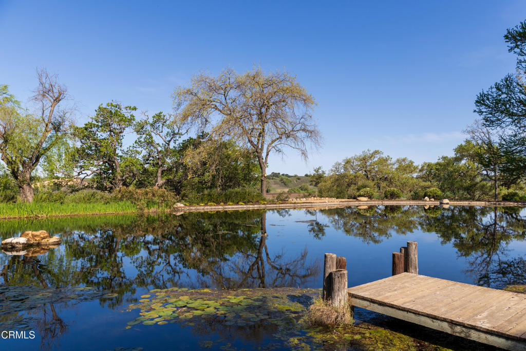 MLS #V1-33194 image #37