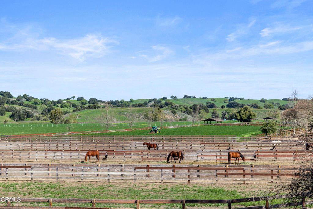 MLS #V1-33194 image #46