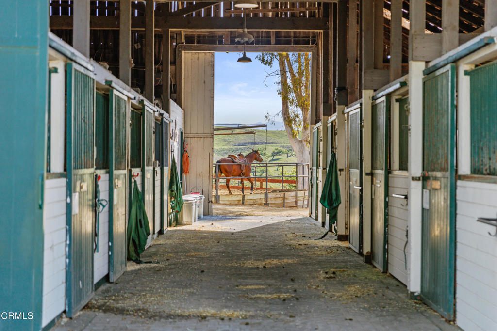 MLS #V1-33194 image #50