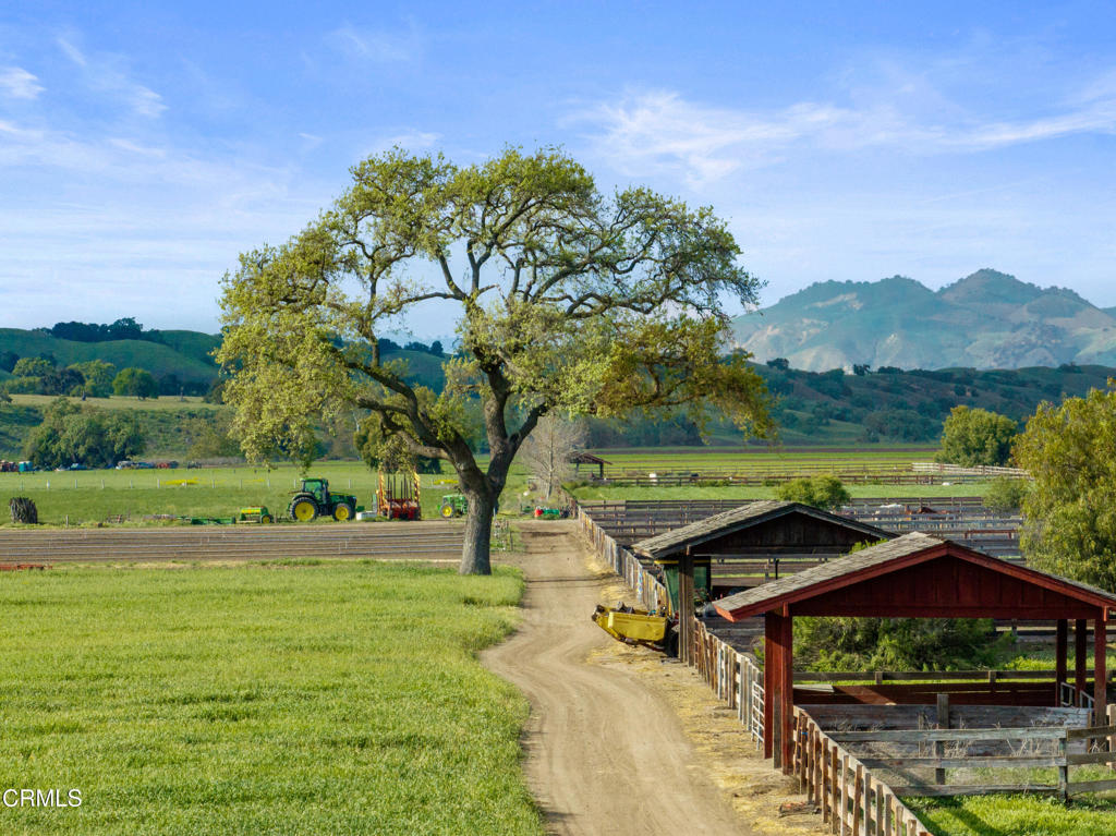 MLS #V1-33194 image #62