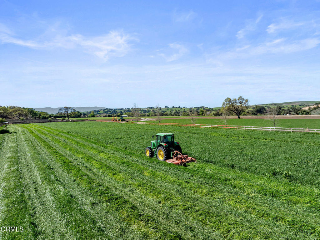 MLS #V1-33194 image #67