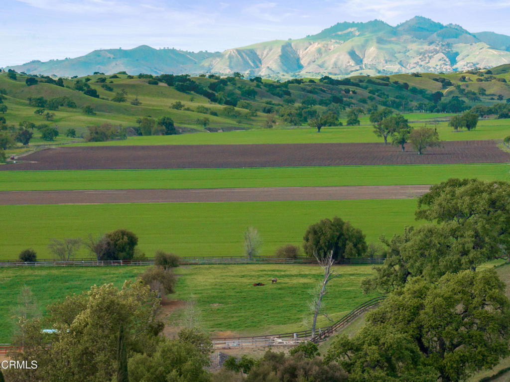 MLS #V1-33194 image #69