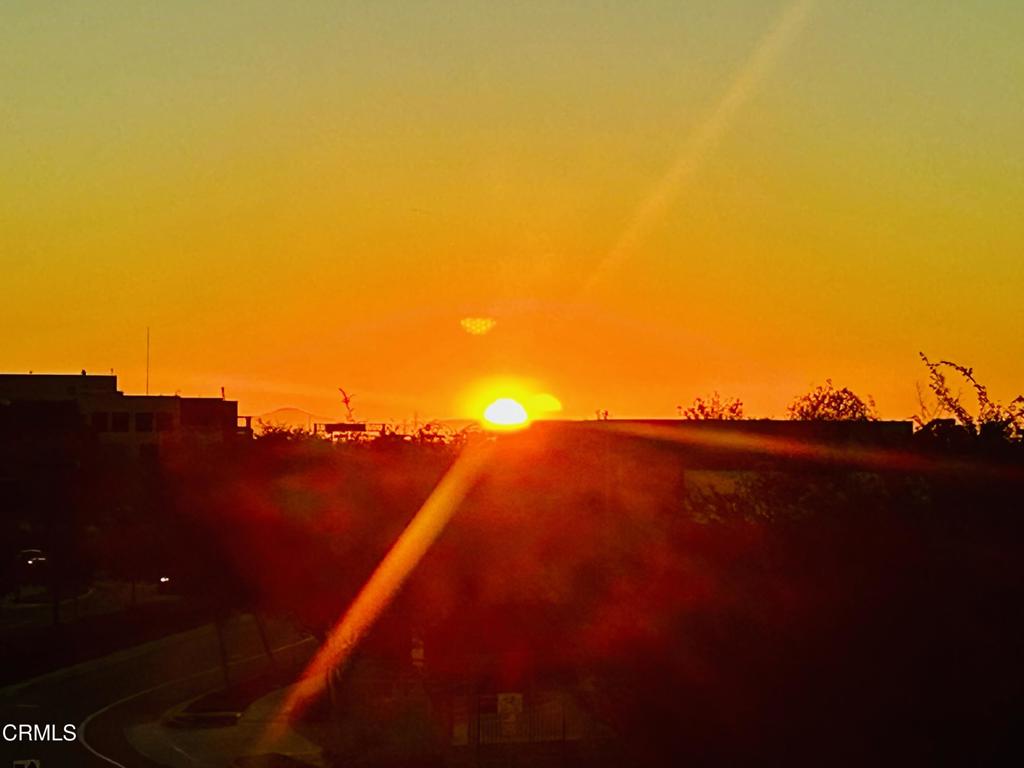 MLS #V1-33201 image #15