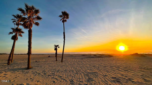 MLS #V1-33201 image #28