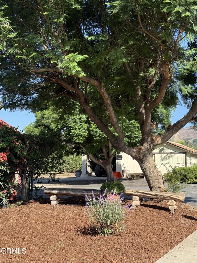 MLS #V1-33204 image #8